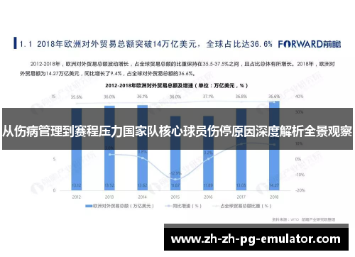 从伤病管理到赛程压力国家队核心球员伤停原因深度解析全景观察